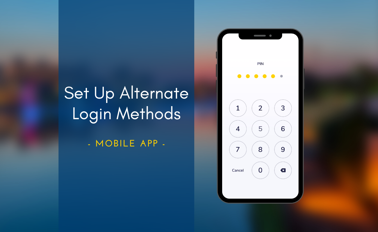 How to Set Up Login Methods demo button